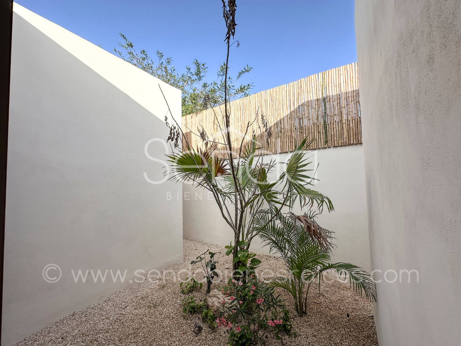 1468-47729--Casa-Tiki-Tiki-en-venta-de-una-planta-en-Cholul-Mérida-3-habitaciones-y-alberca_(89).jpg