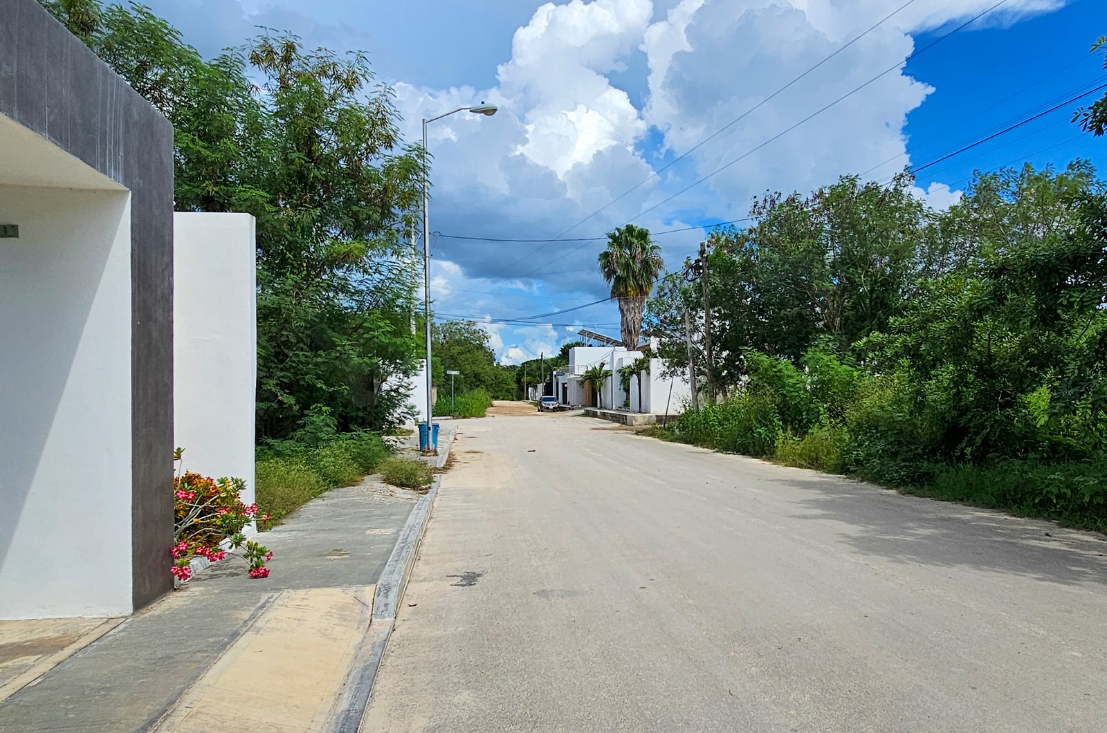2028-54827-Casa-en-Venta-Dzityá-Mérida-con-super-Cocina-Jardín-y-Alberca_(3).jpg