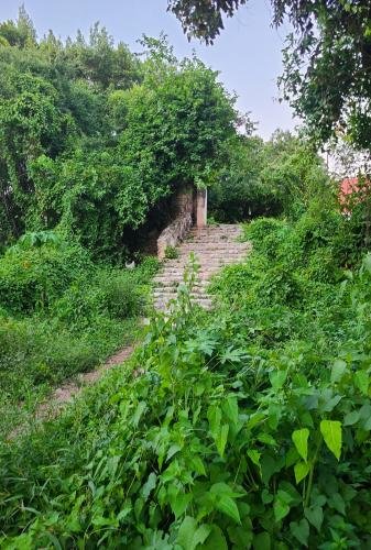 1366-39279-Terrenos-en-venta-en-TICOPO-Yucatan-oportunidad-7.jpg