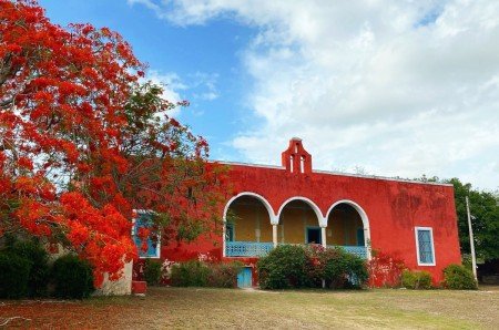 Terrenos residenciales en venta en TICOPO Yucatan en oportunidad