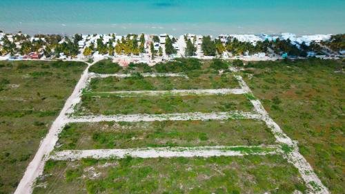 1791-49907-Terreno-en-venta-en-Chicxulub-Puerto-Mérida-Soletta-en-la-costa-yucateca_(1).png