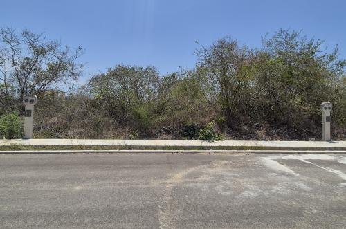 1942-53000-Lotes-Residenciales-en-Venta-en-Privada-Ciudad-Central-con-amenidades_(3).jpg
